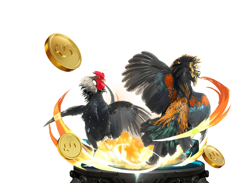 Tổng quan nền tảng soxo66 casino